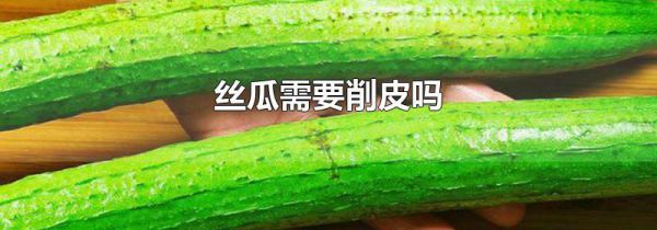 丝瓜需要削皮吗