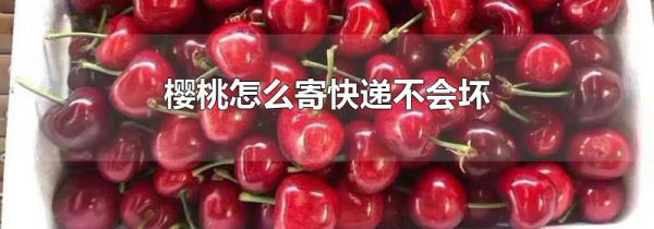 樱桃怎么寄快递不会坏