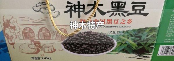 神木特产