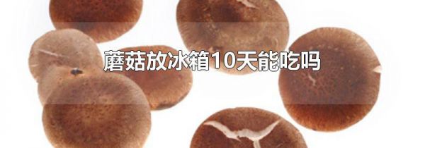 蘑菇放冰箱10天能吃吗