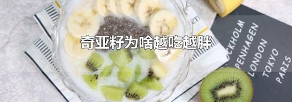 奇亚籽为啥越吃越胖