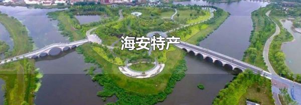 海安特产