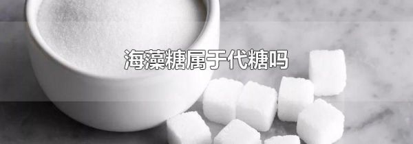 海藻糖属于代糖吗