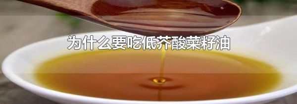 为什么要吃低芥酸菜籽油