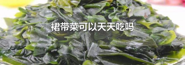 裙带菜可以天天吃吗