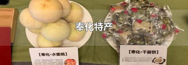奉化特产