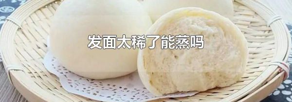 发面太稀了能蒸吗