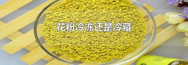 花粉冷冻还是冷藏