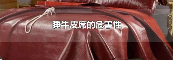 睡牛皮席的危害性