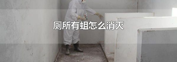 厕所有蛆怎么消灭