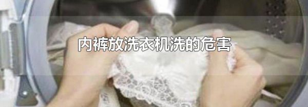 内裤放洗衣机洗的危害