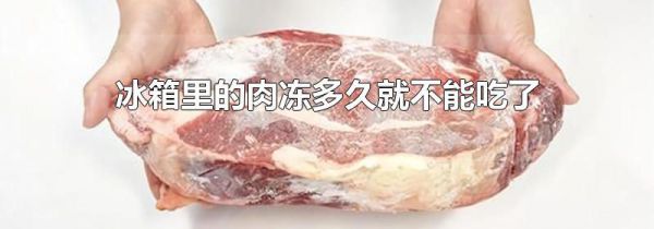 冰箱里的肉冻多久就不能吃了