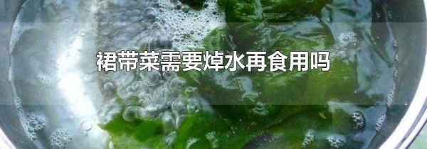 裙带菜需要焯水再食用吗
