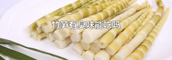 竹笋有臭味能吃吗