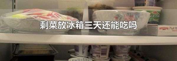 剩菜放冰箱三天还能吃吗