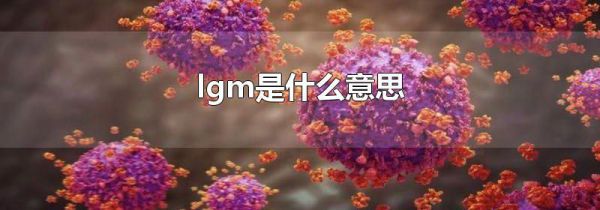 lgm是什么意思
