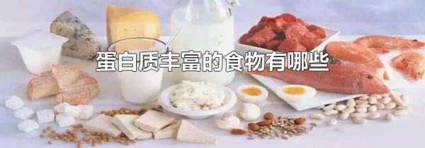 蛋白质丰富的食物有哪些