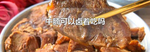 牛腩可以卤着吃吗
