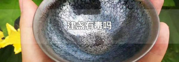 建盏有毒吗