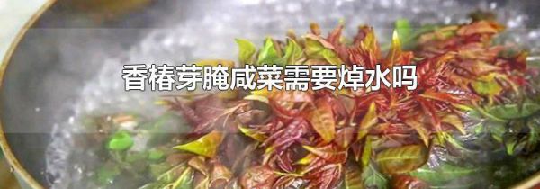 香椿芽腌咸菜需要焯水吗