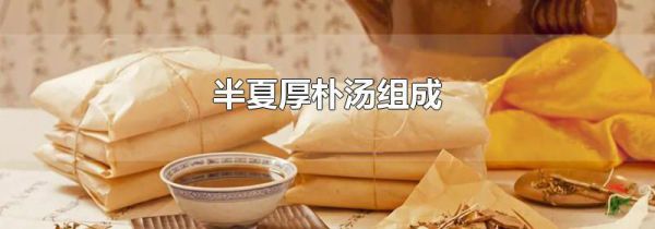 半夏厚朴汤组成