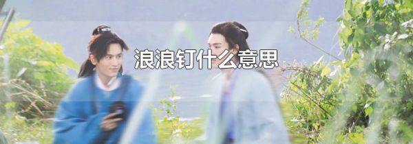 浪浪钉什么意思