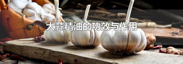 大蒜精油的功效与作用