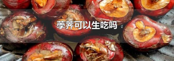 荸荠可以生吃吗