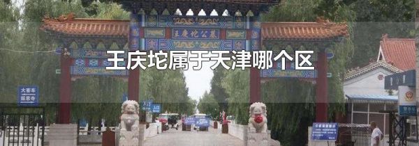 王庆坨属于天津哪个区