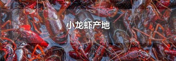 小龙虾产地