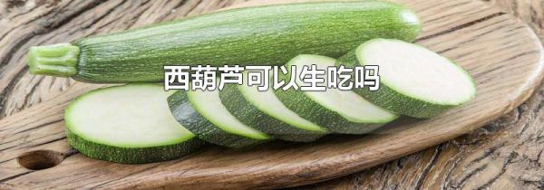 西葫芦可以生吃吗