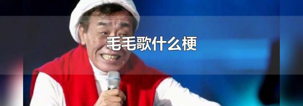 毛毛歌什么梗