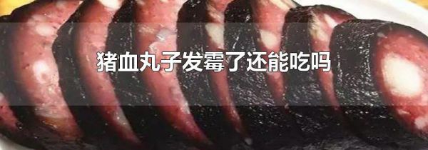 猪血丸子发霉了还能吃吗