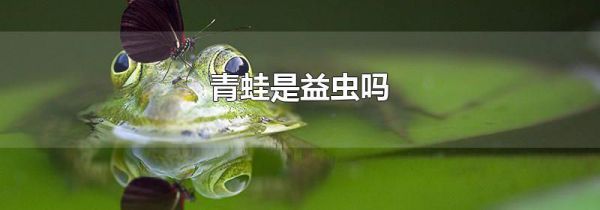 青蛙是益虫吗