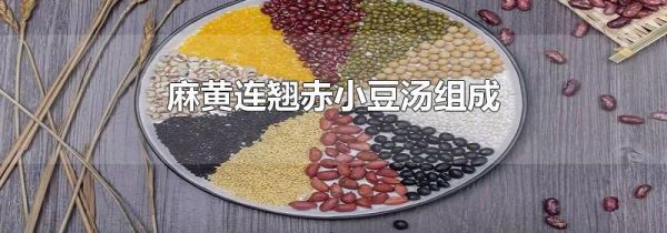 麻黄连翘赤小豆汤组成