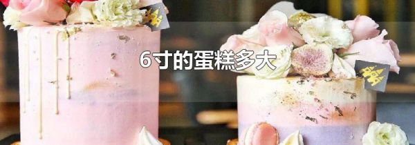 6寸的蛋糕多大