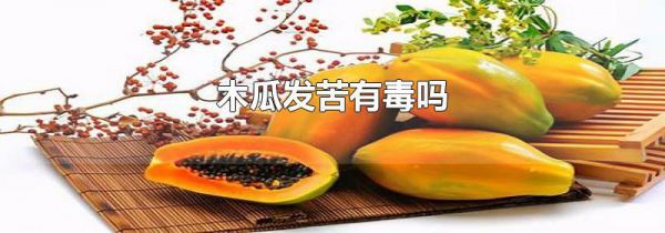 木瓜发苦有毒吗