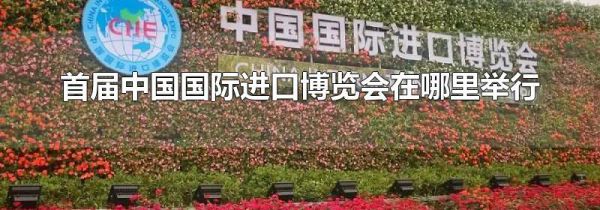 首届中国国际进口博览会在哪里举行