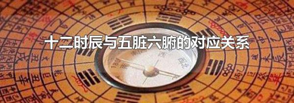 十二时辰与五脏六腑的对应关系