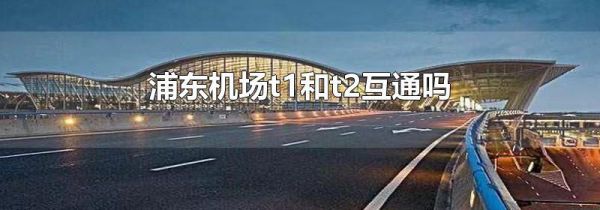 浦东机场t1和t2互通吗