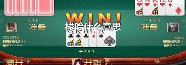 梭哈什么意思