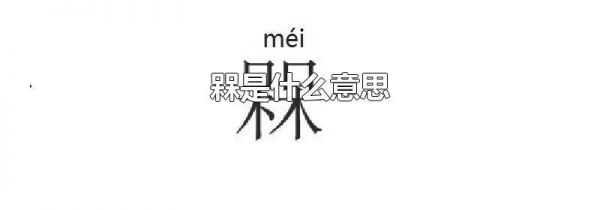 槑是什么意思