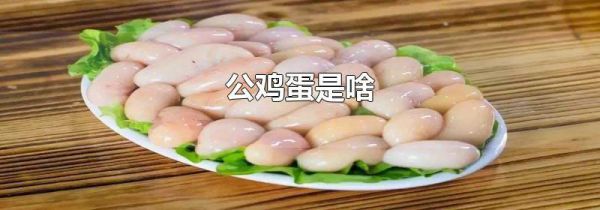 公鸡蛋是啥