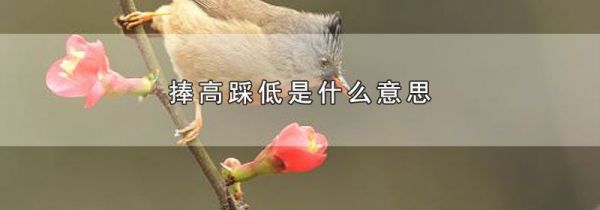 捧高踩低是什么意思