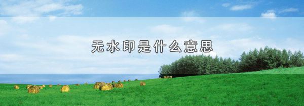 无水印是什么意思