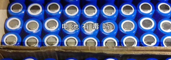 电池有毒吗