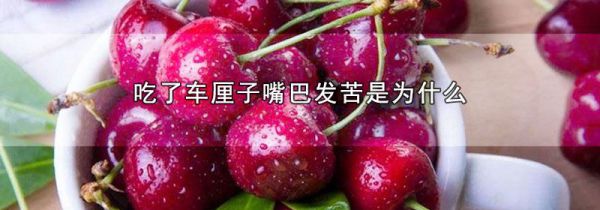 吃了车厘子嘴巴发苦是为什么