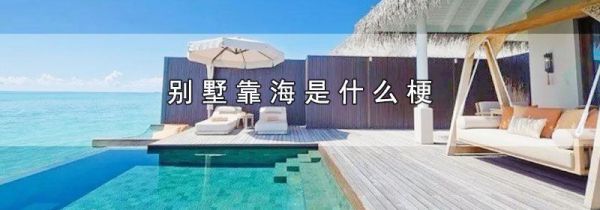 别墅靠海是什么梗