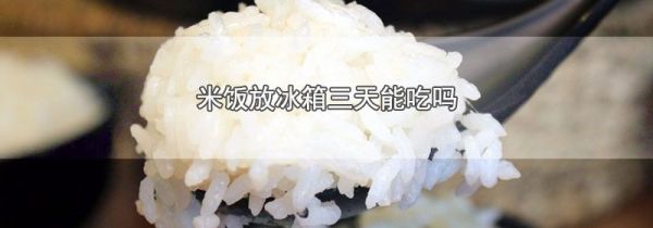米饭放冰箱三天能吃吗