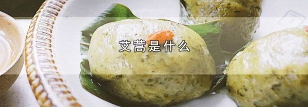 艾蒿是什么